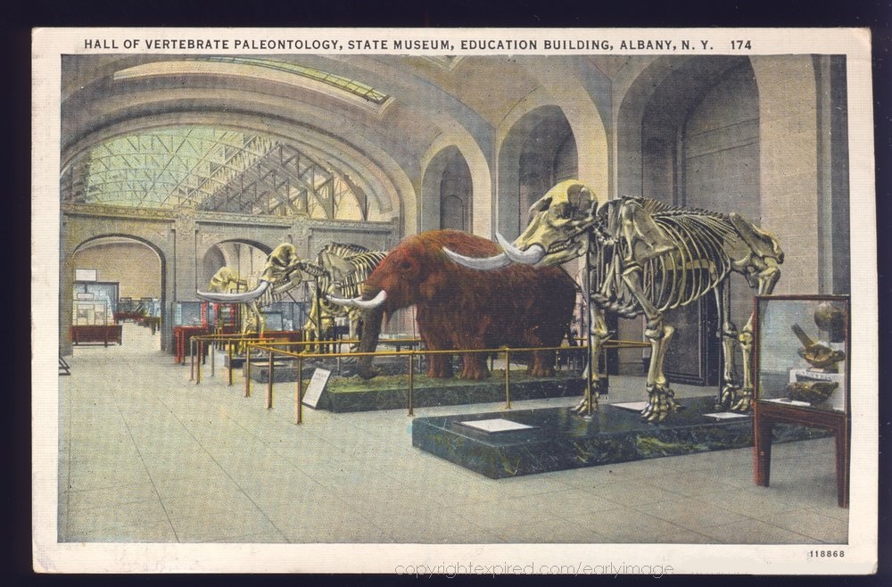 Hall of Vertebrate Paleontology State Museum Albany New York
