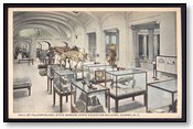 Paleontology Hall - State Museum New York
