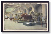 Hall of Vertebrate Paleontology State Museum Albany New York