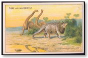 Brontosaurus and Triceratops