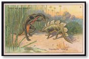 Iguanodon and Stegosaurus