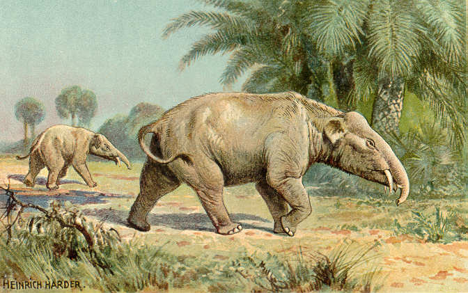 Paleomastodon