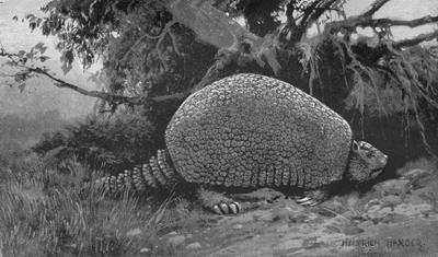 Glyptodont by Heinrich Harder