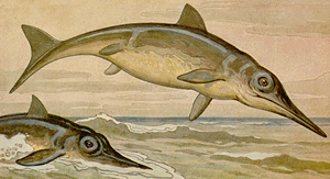 Ichthyosaurus Mural Art