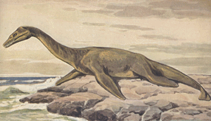Plesiosaurus Mural Art