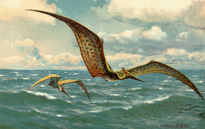 Pteranodon by Heinrich Harder