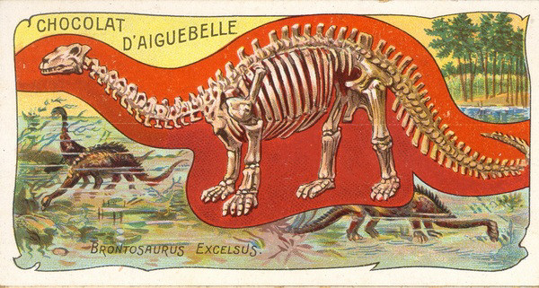 Brontosaurus Skeleton - 1