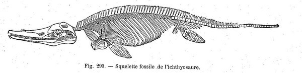 Ichthyosaur
