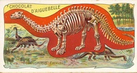 Brontosaurus - D'aiguebelle