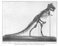 Tyrannosaurus rex - 1