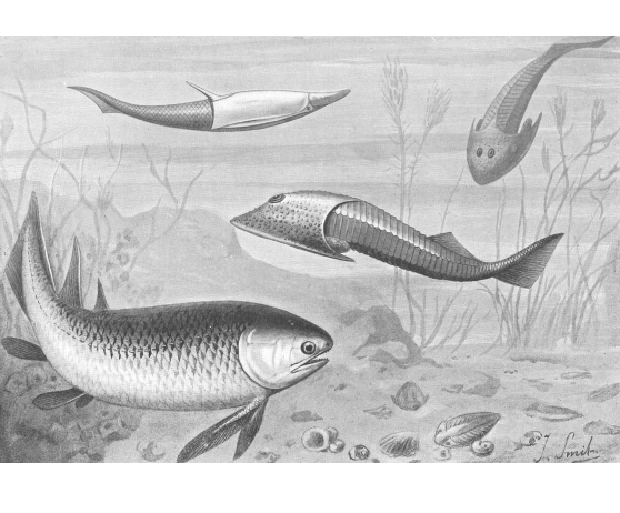 Silurianfishes
