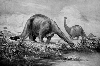 Brontosaurs by Heinrich Harder